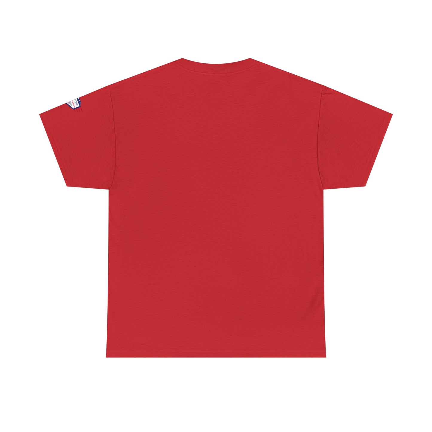 I Don't Have the Energy for You Today, Casual Wear, Gift for Friends, Funny Quote Shirt, Relaxed Fit Shirt