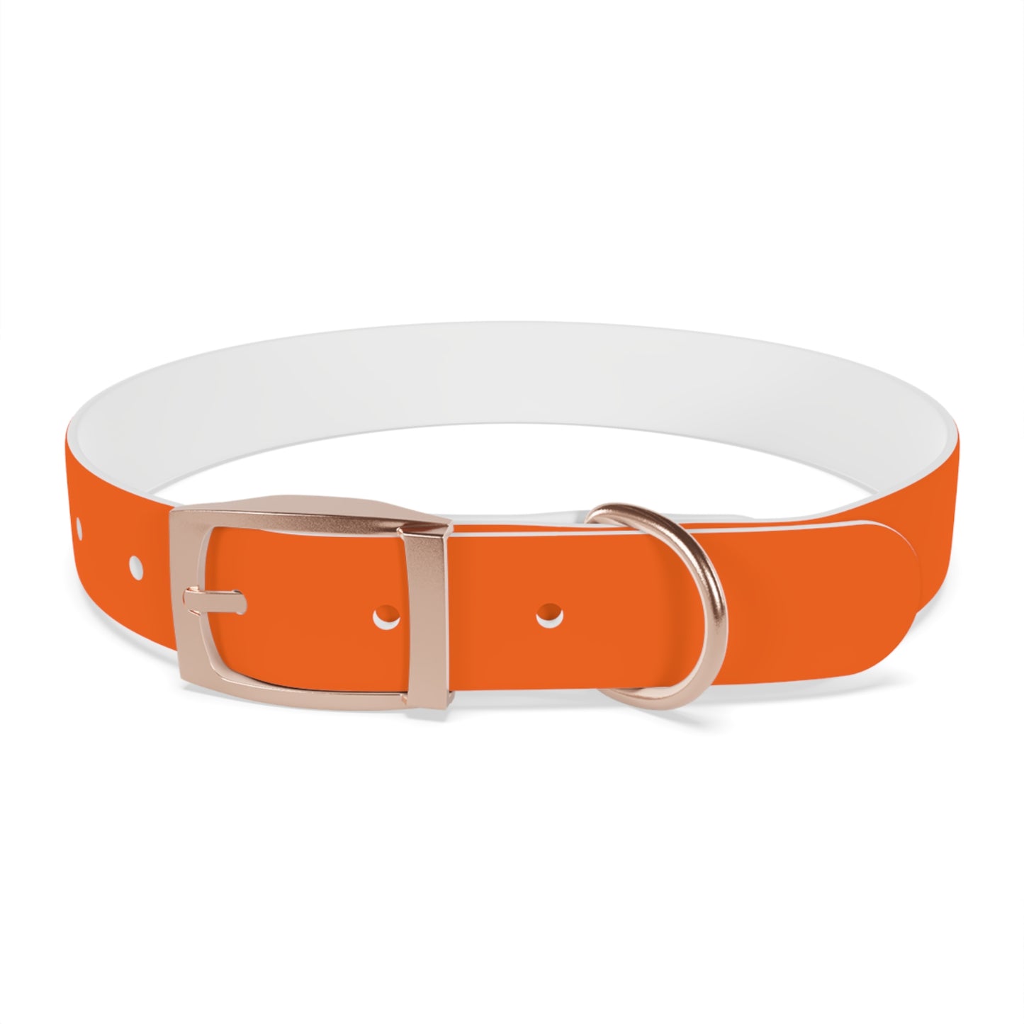 Dutch Dog Collar, I identify as a lion - Fun Pet Accessory, Dog Wear, Unique Gift for Dog Lovers, Pets Birthday Celebration, Lion Theme Collar