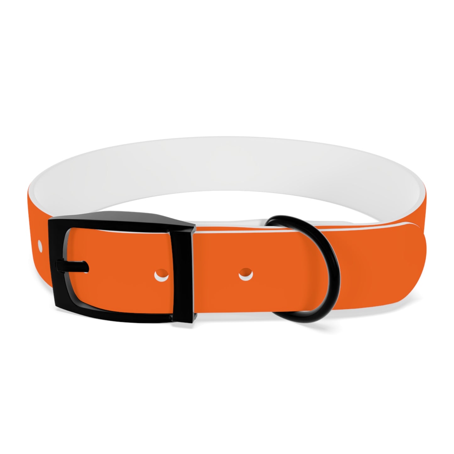 Dutch Dog Collar, I identify as a lion - Fun Pet Accessory, Dog Wear, Unique Gift for Dog Lovers, Pets Birthday Celebration, Lion Theme Collar