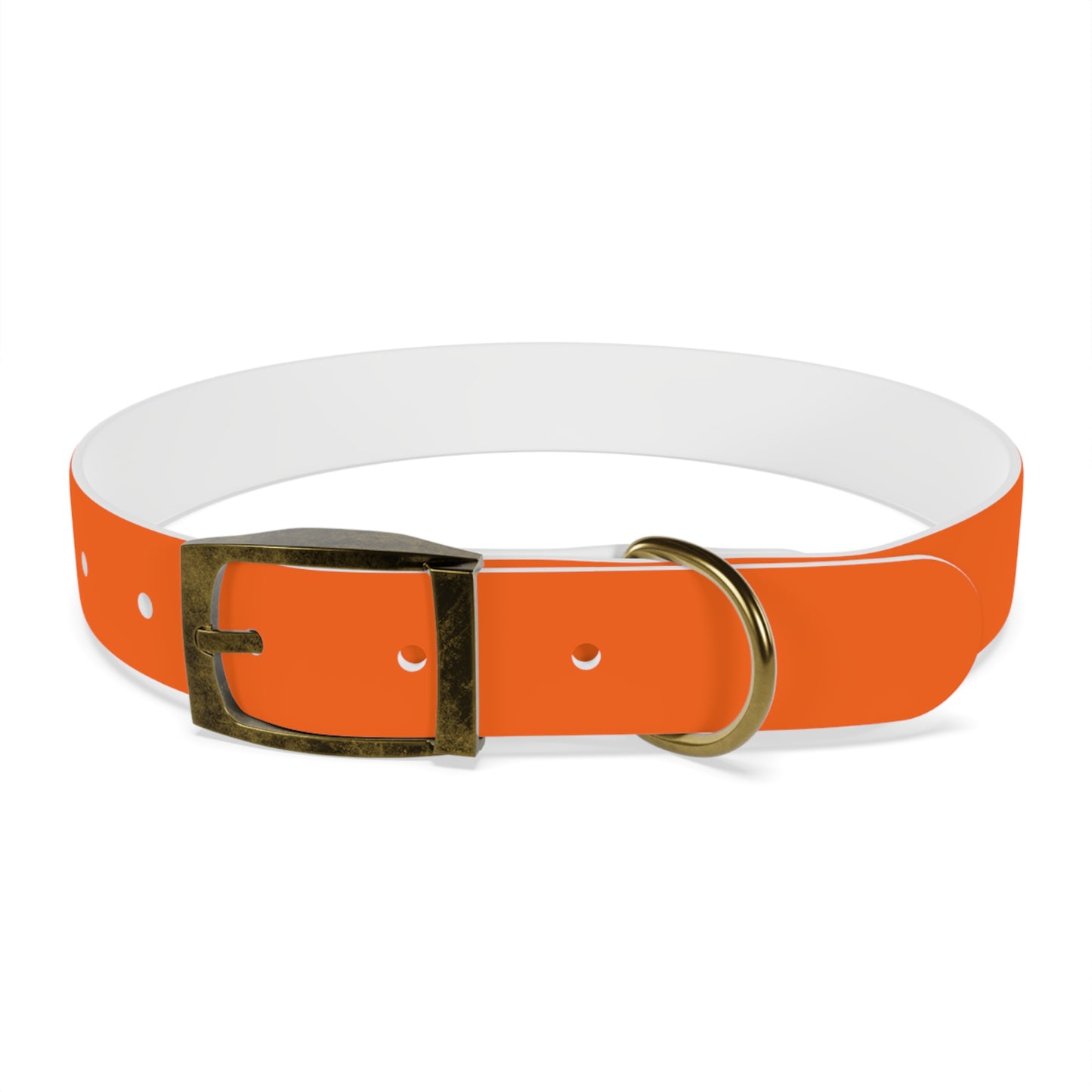 Dutch Dog Collar, I identify as a lion - Fun Pet Accessory, Dog Wear, Unique Gift for Dog Lovers, Pets Birthday Celebration, Lion Theme Collar