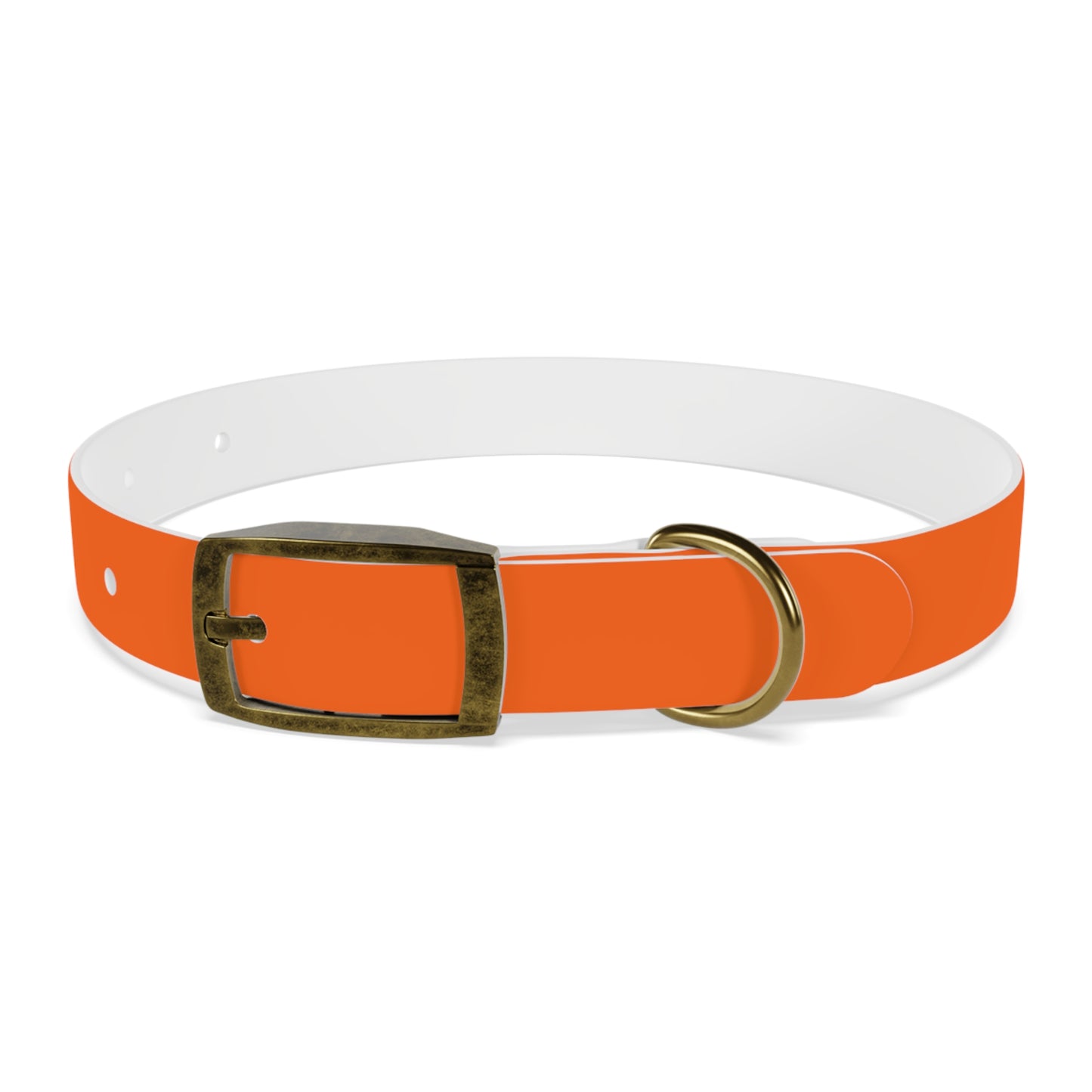 Dutch Dog Collar, I identify as a lion - Fun Pet Accessory, Dog Wear, Unique Gift for Dog Lovers, Pets Birthday Celebration, Lion Theme Collar
