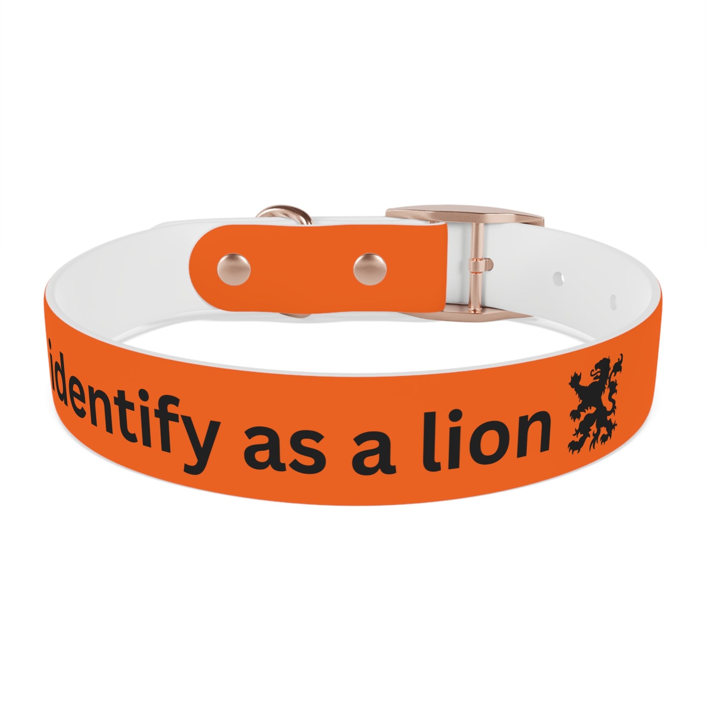 Dutch Dog Collar, I identify as a lion - Fun Pet Accessory, Dog Wear, Unique Gift for Dog Lovers, Pets Birthday Celebration, Lion Theme Collar