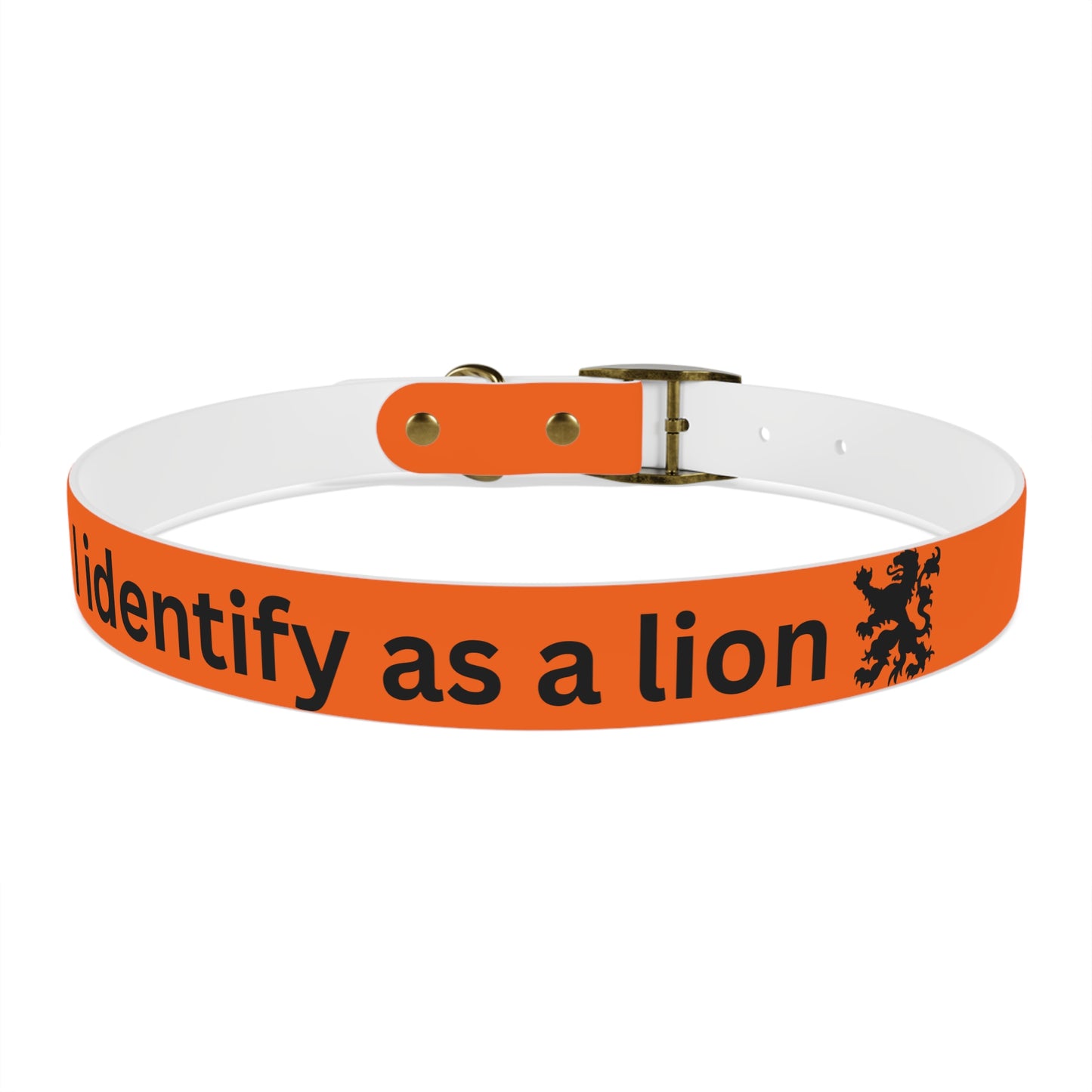 Dutch Dog Collar, I identify as a lion - Fun Pet Accessory, Dog Wear, Unique Gift for Dog Lovers, Pets Birthday Celebration, Lion Theme Collar