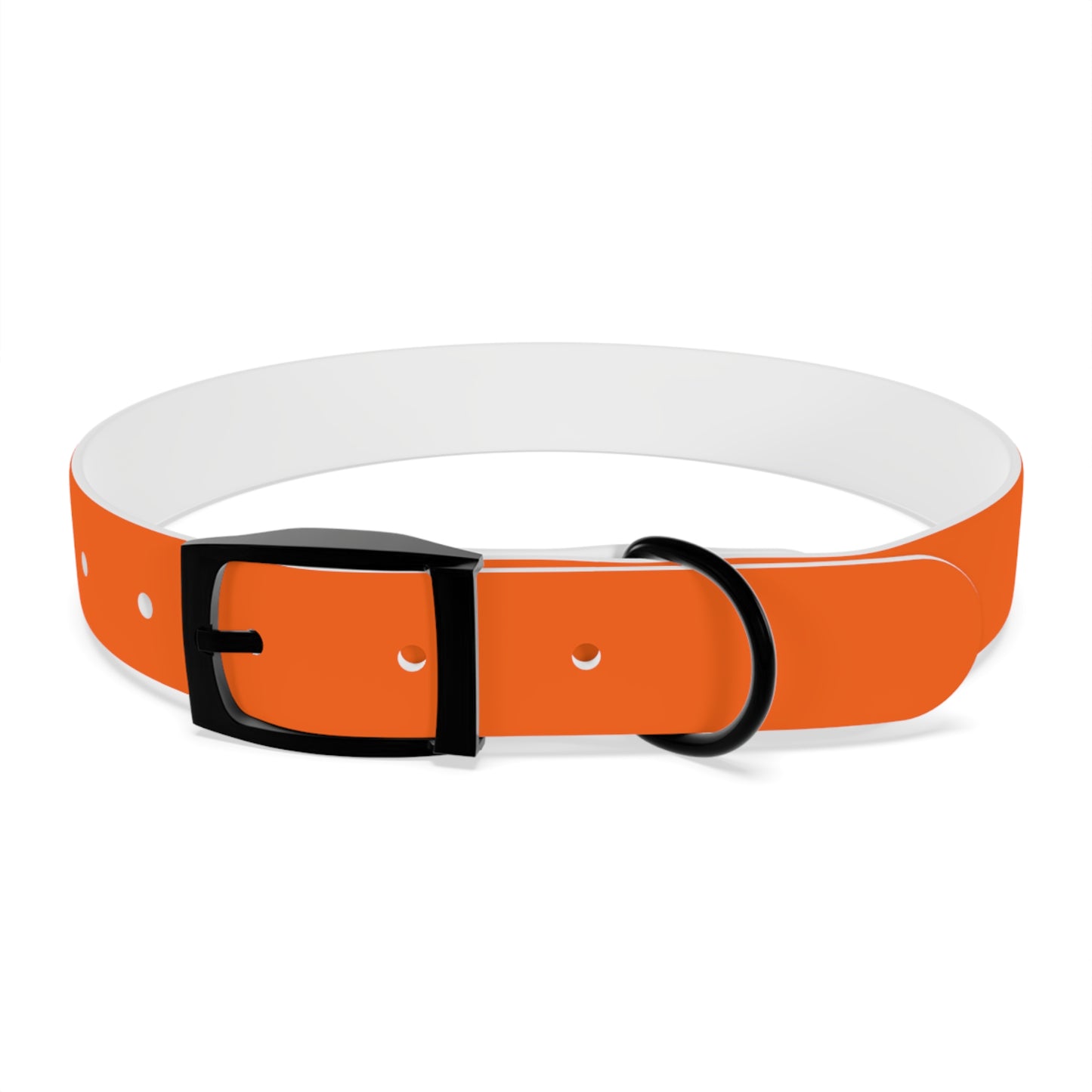 Dutch Dog Collar, I identify as a lion - Fun Pet Accessory, Dog Wear, Unique Gift for Dog Lovers, Pets Birthday Celebration, Lion Theme Collar