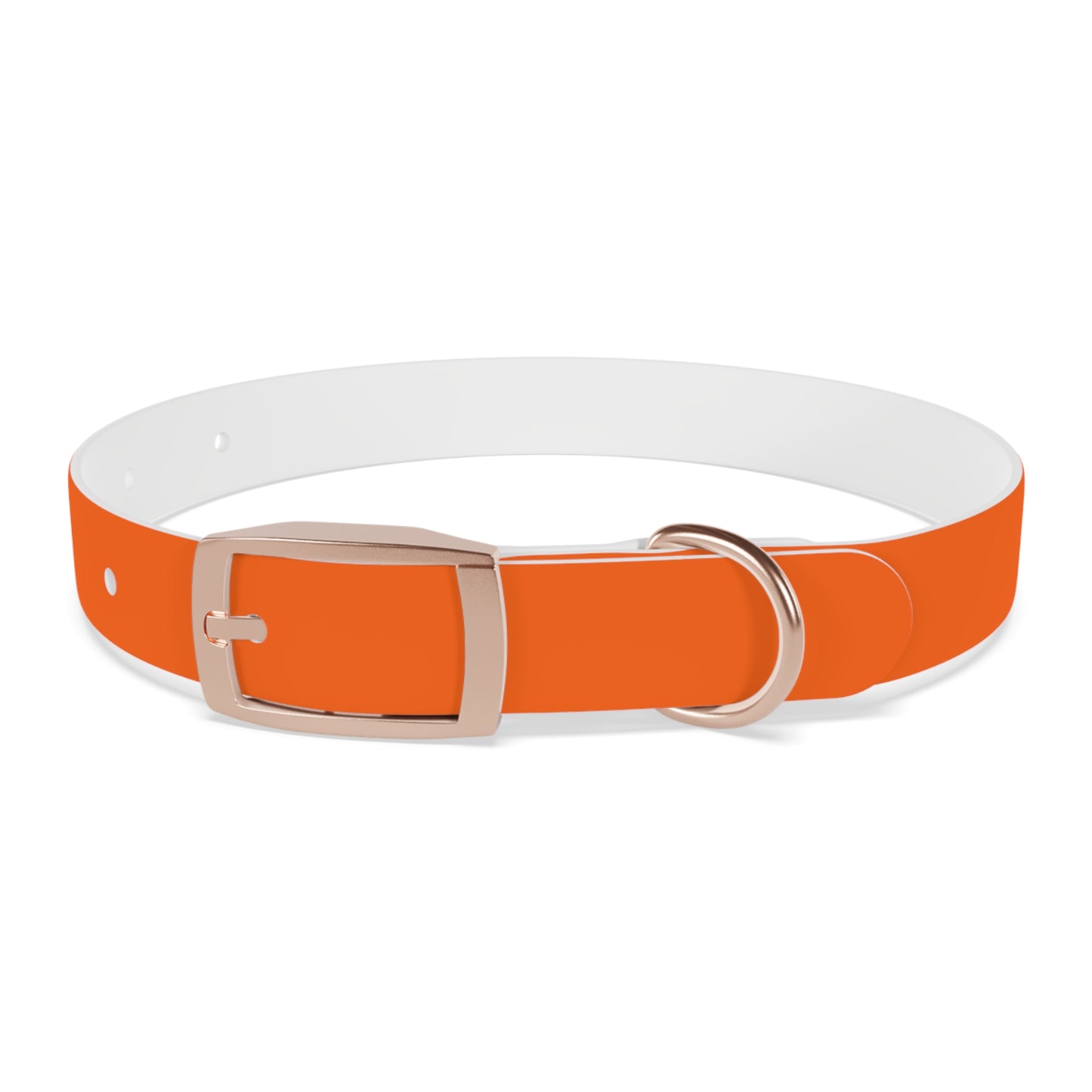 Dutch Dog Collar, I identify as a lion - Fun Pet Accessory, Dog Wear, Unique Gift for Dog Lovers, Pets Birthday Celebration, Lion Theme Collar