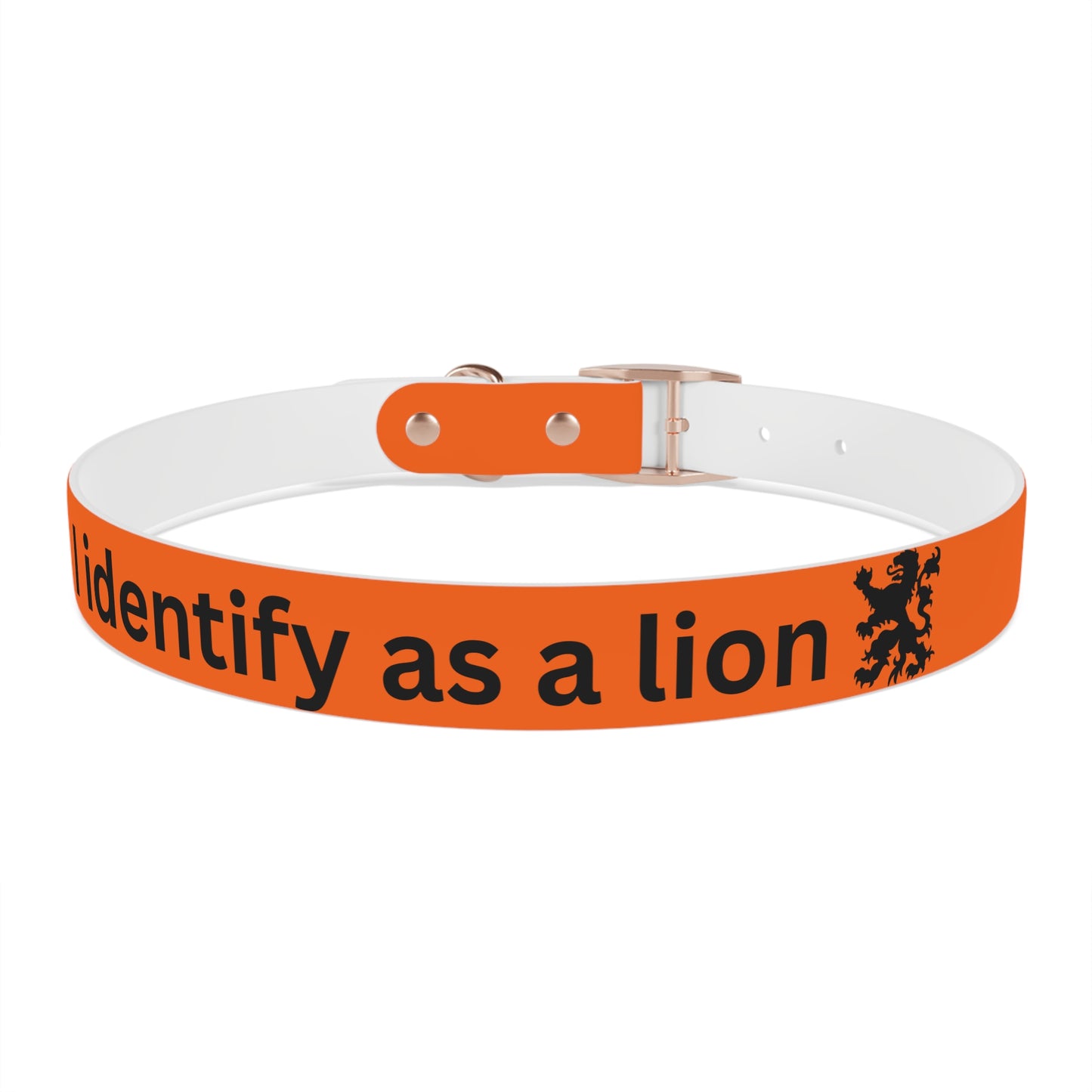 Dutch Dog Collar, I identify as a lion - Fun Pet Accessory, Dog Wear, Unique Gift for Dog Lovers, Pets Birthday Celebration, Lion Theme Collar