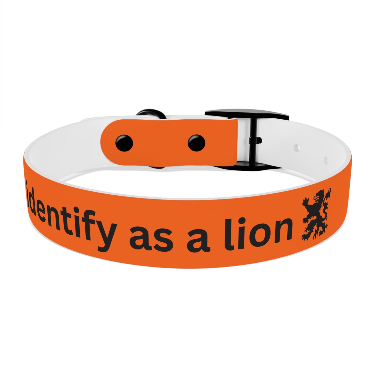 Dutch Dog Collar, I identify as a lion - Fun Pet Accessory, Dog Wear, Unique Gift for Dog Lovers, Pets Birthday Celebration, Lion Theme Collar