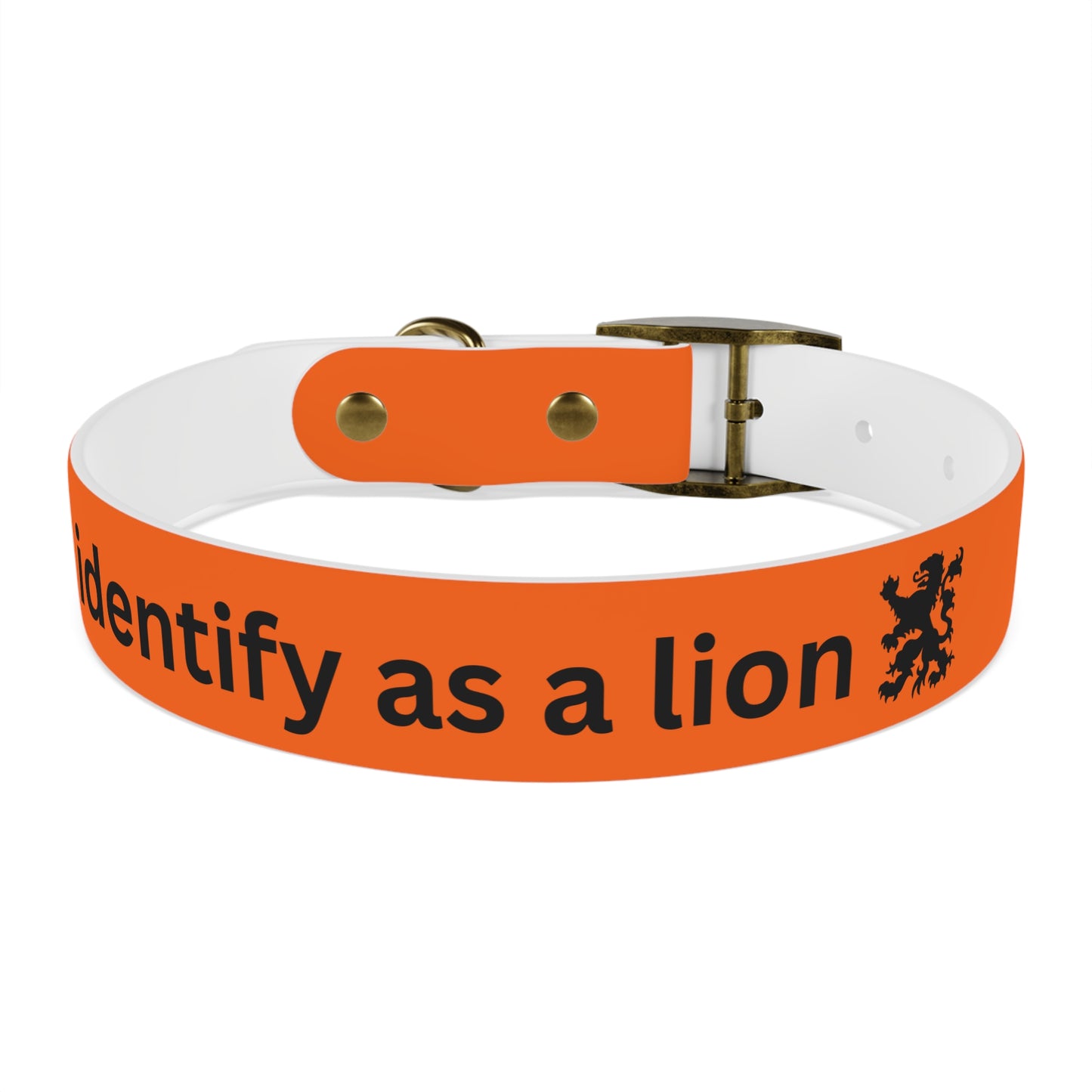 Dutch Dog Collar, I identify as a lion - Fun Pet Accessory, Dog Wear, Unique Gift for Dog Lovers, Pets Birthday Celebration, Lion Theme Collar