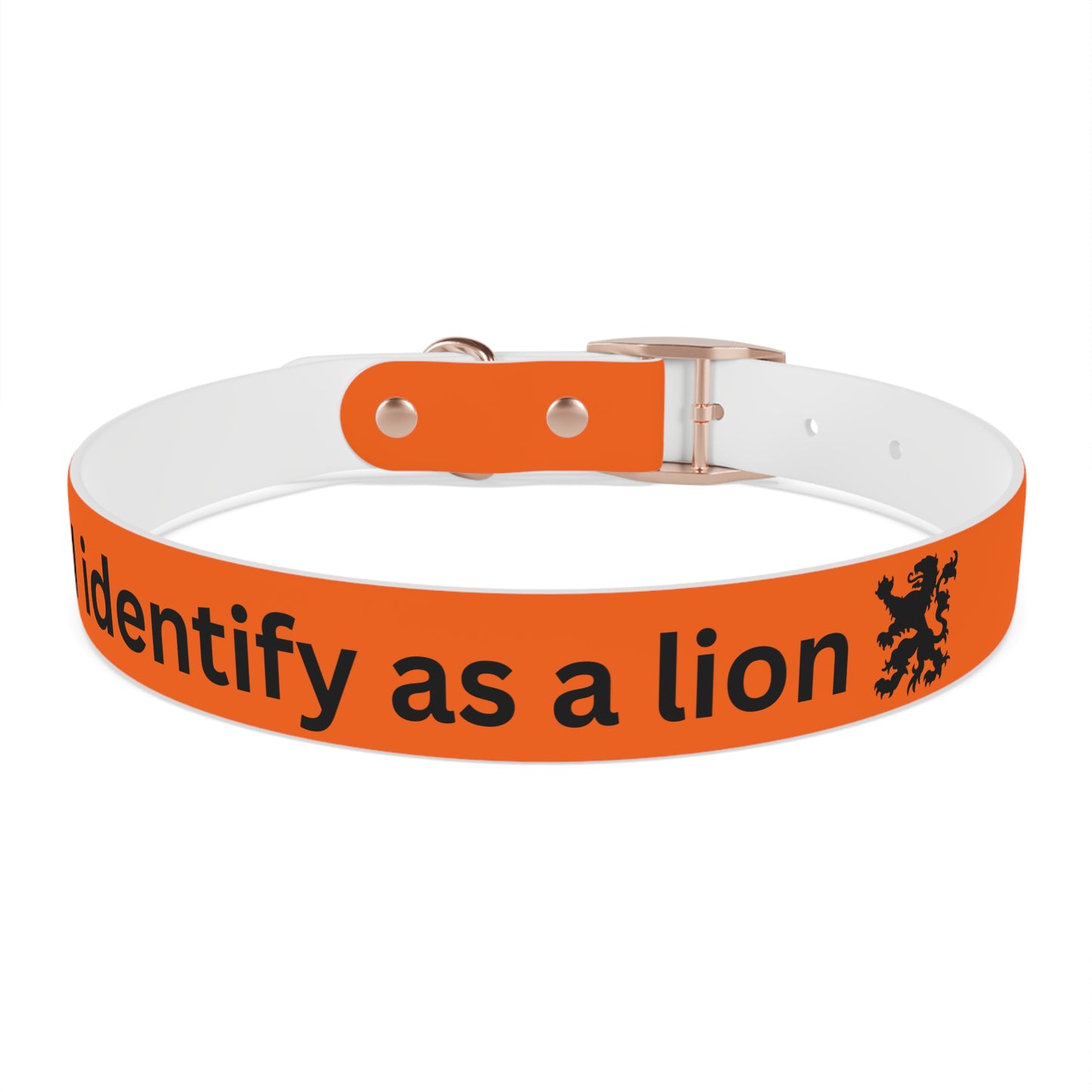 Dutch Dog Collar, I identify as a lion - Fun Pet Accessory, Dog Wear, Unique Gift for Dog Lovers, Pets Birthday Celebration, Lion Theme Collar