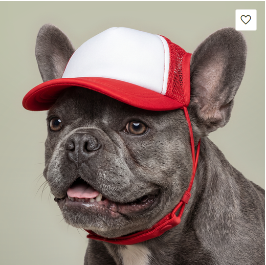 DOG HAT - NeurolythicAI Foam Trucker Hat — Dog-Friendly Mesh Cap