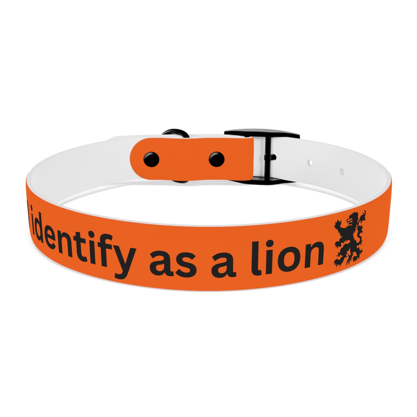 Dutch Dog Collar, I identify as a lion - Fun Pet Accessory, Dog Wear, Unique Gift for Dog Lovers, Pets Birthday Celebration, Lion Theme Collar