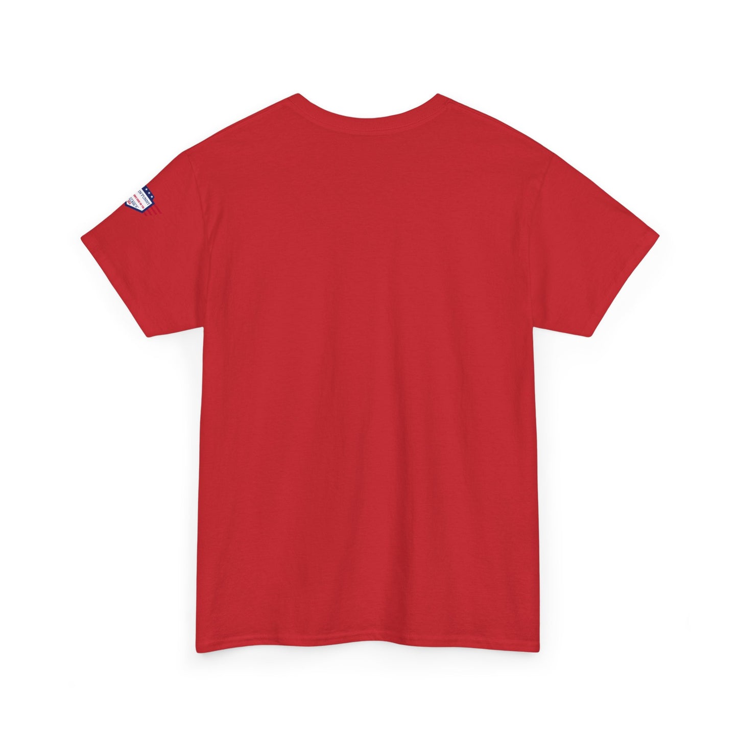 I Don't Have the Energy for You Today, Casual Wear, Gift for Friends, Funny Quote Shirt, Relaxed Fit Shirt