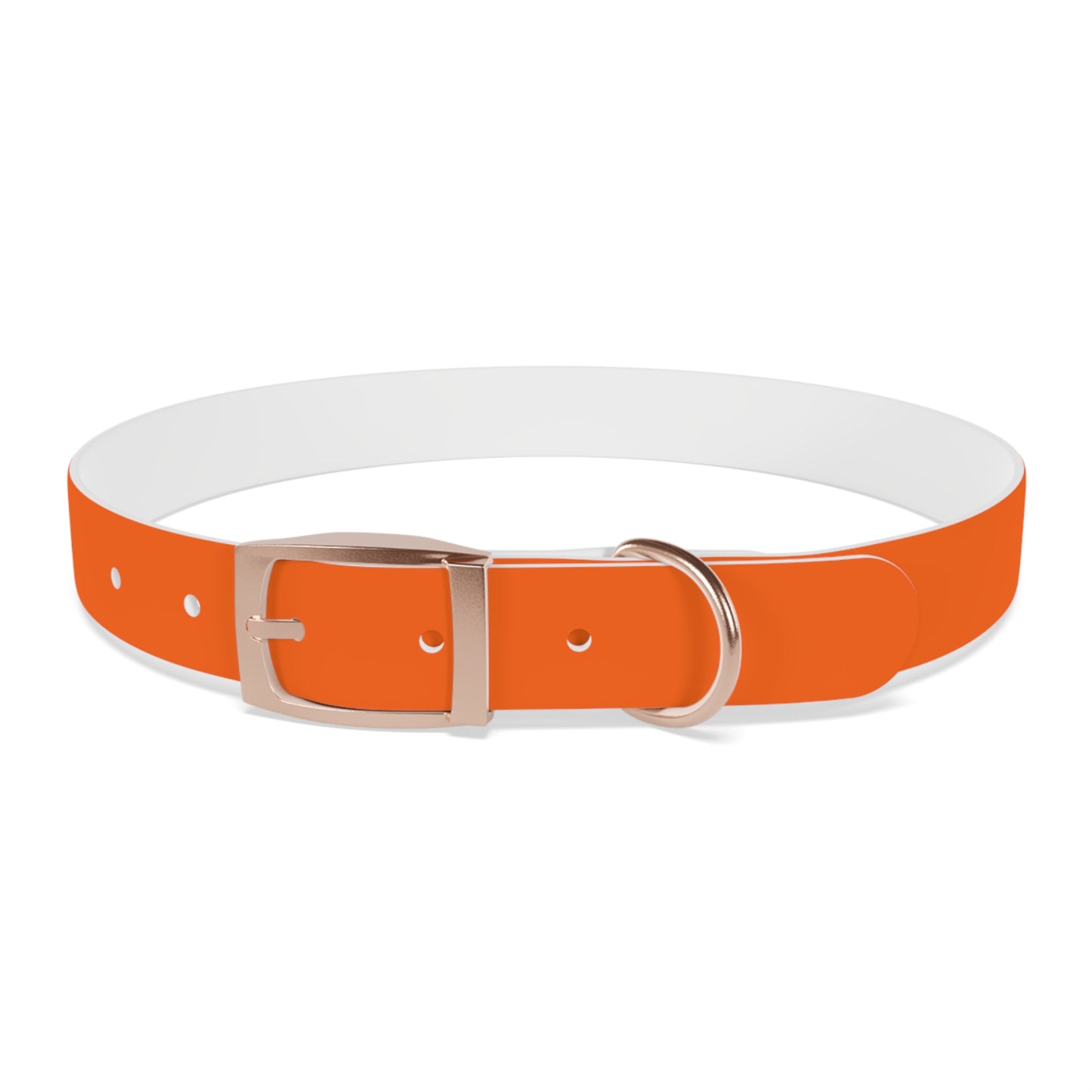 Dutch Dog Collar, I identify as a lion - Fun Pet Accessory, Dog Wear, Unique Gift for Dog Lovers, Pets Birthday Celebration, Lion Theme Collar
