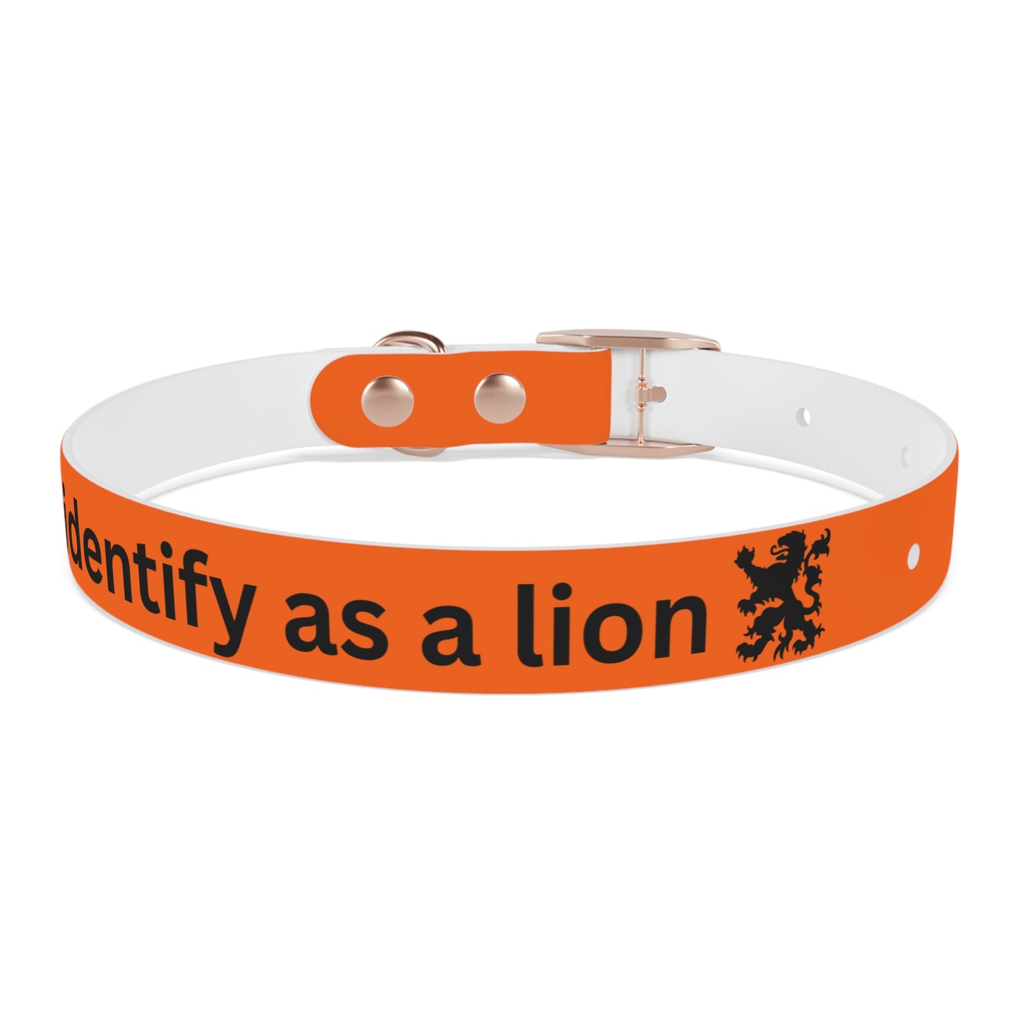 Dutch Dog Collar, I identify as a lion - Fun Pet Accessory, Dog Wear, Unique Gift for Dog Lovers, Pets Birthday Celebration, Lion Theme Collar
