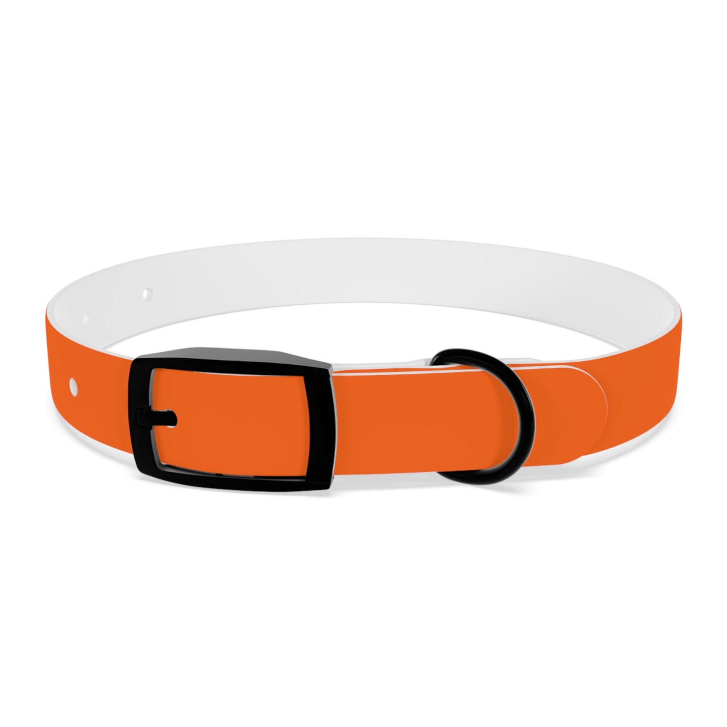 Dutch Dog Collar, I identify as a lion - Fun Pet Accessory, Dog Wear, Unique Gift for Dog Lovers, Pets Birthday Celebration, Lion Theme Collar