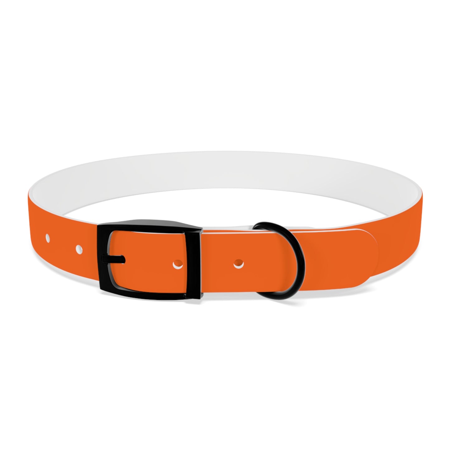 Dutch Dog Collar, I identify as a lion - Fun Pet Accessory, Dog Wear, Unique Gift for Dog Lovers, Pets Birthday Celebration, Lion Theme Collar