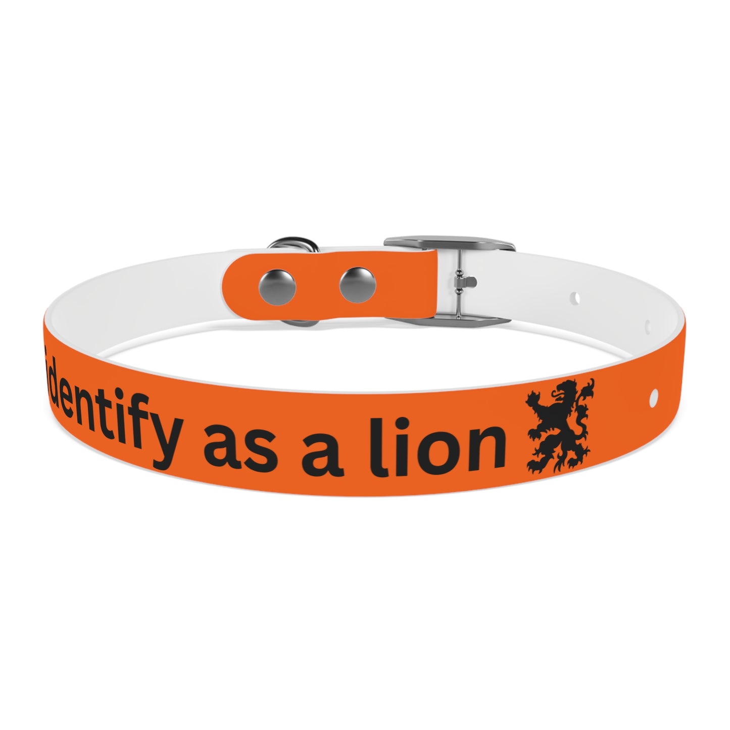 Dutch Dog Collar, I identify as a lion - Fun Pet Accessory, Dog Wear, Unique Gift for Dog Lovers, Pets Birthday Celebration, Lion Theme Collar