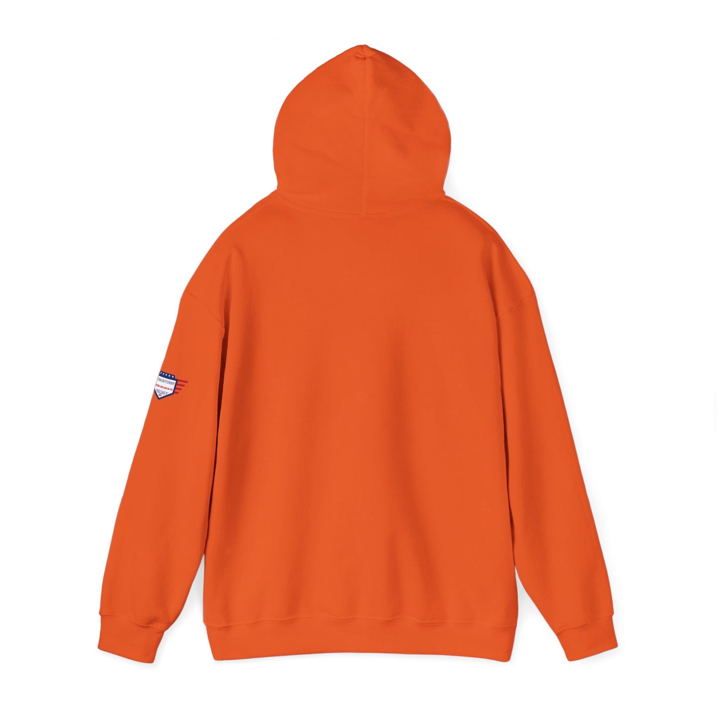Easy Halloween Hoodie - Temu Obama - Dollar Store Obama - Funny Holiday Hoodie, Unisex Sweatshirt, Christmas Gift, Winter Apparel, Casual Wear.