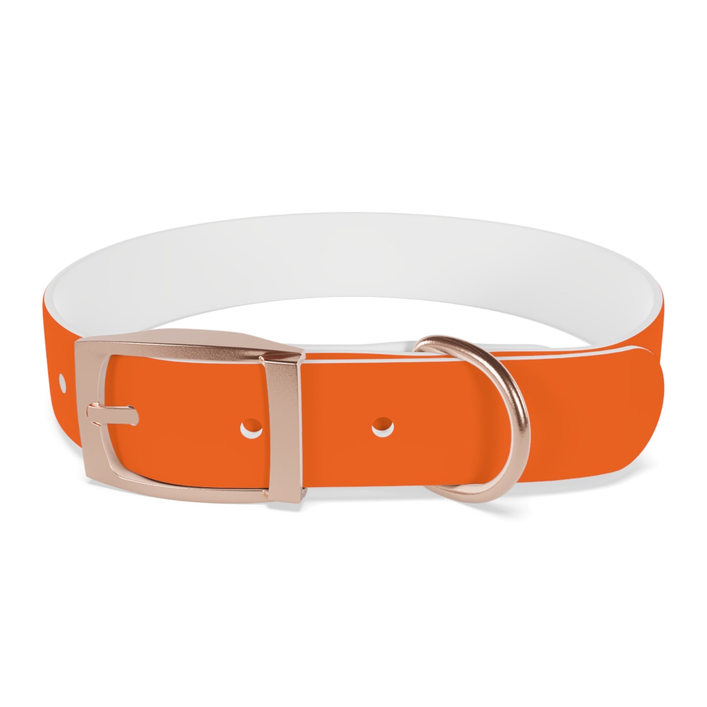 Dutch Dog Collar, I identify as a lion - Fun Pet Accessory, Dog Wear, Unique Gift for Dog Lovers, Pets Birthday Celebration, Lion Theme Collar