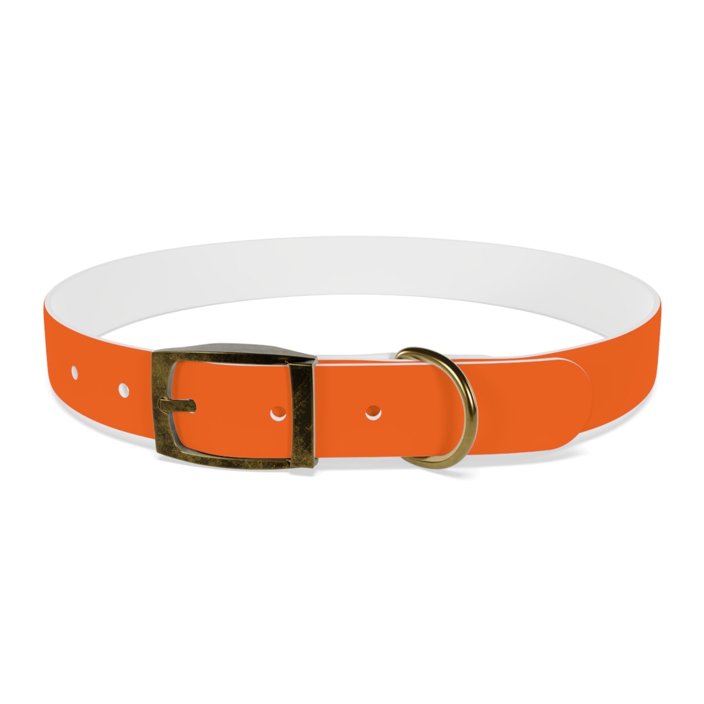 Dutch Dog Collar, I identify as a lion - Fun Pet Accessory, Dog Wear, Unique Gift for Dog Lovers, Pets Birthday Celebration, Lion Theme Collar