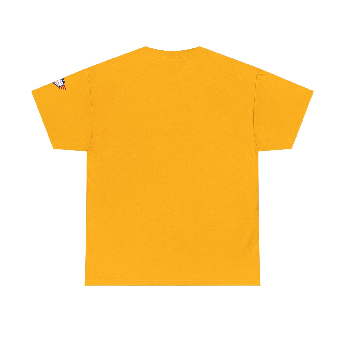 I Don't Have the Energy for You Today, Casual Wear, Gift for Friends, Funny Quote Shirt, Relaxed Fit Shirt