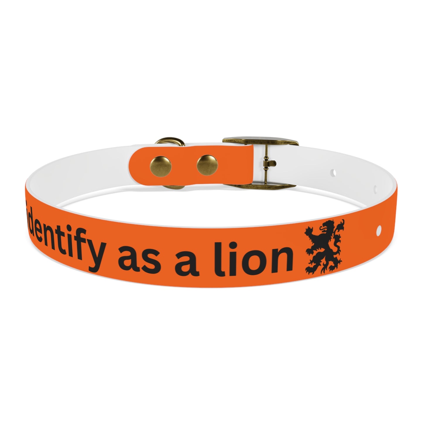 Dutch Dog Collar, I identify as a lion - Fun Pet Accessory, Dog Wear, Unique Gift for Dog Lovers, Pets Birthday Celebration, Lion Theme Collar