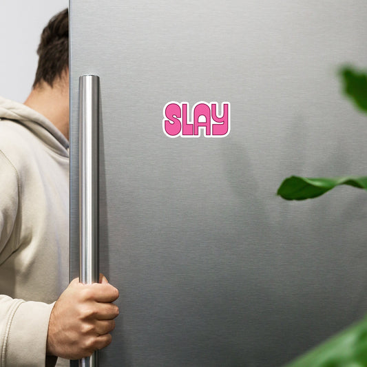 Slay or Nay? The 'Slay - Magnet' Slaying Fridges Everywhere