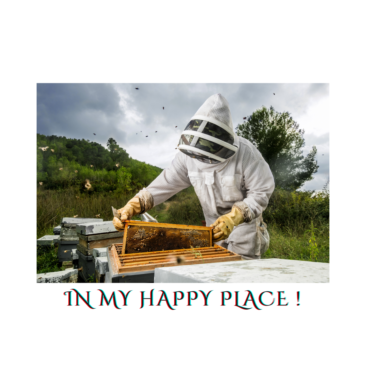 Honeybees