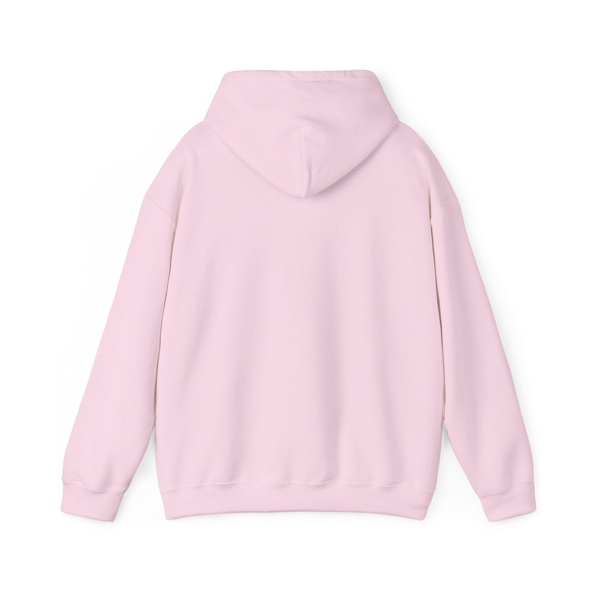 Back view of light pink hoodie, hood down, all cozy no-print vibes