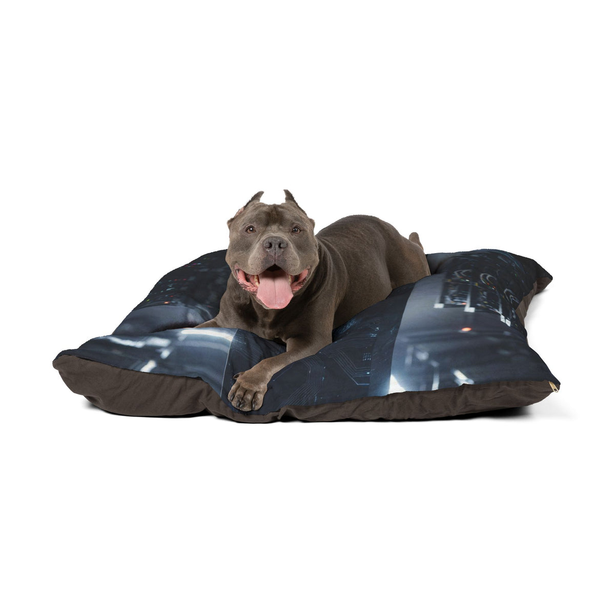 NeurolythicAI - Pet Bed