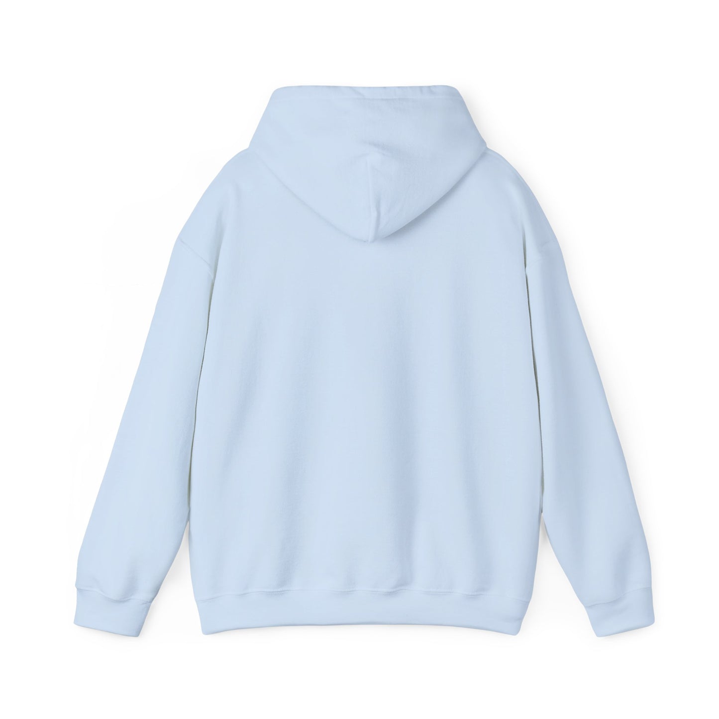Back view of plain light blue hoodie, relaxed fit with hood and kangaroo pocket visible