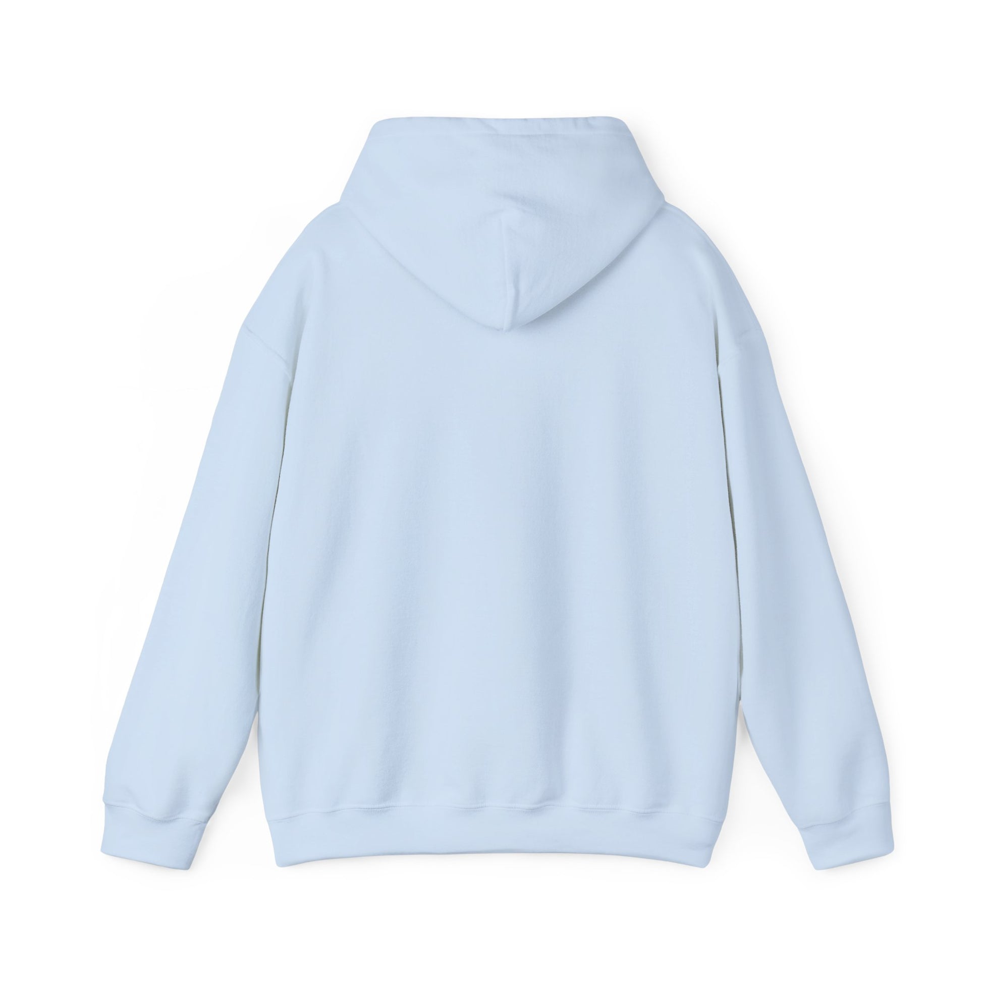Back view of plain light blue hoodie, relaxed fit with hood and kangaroo pocket visible