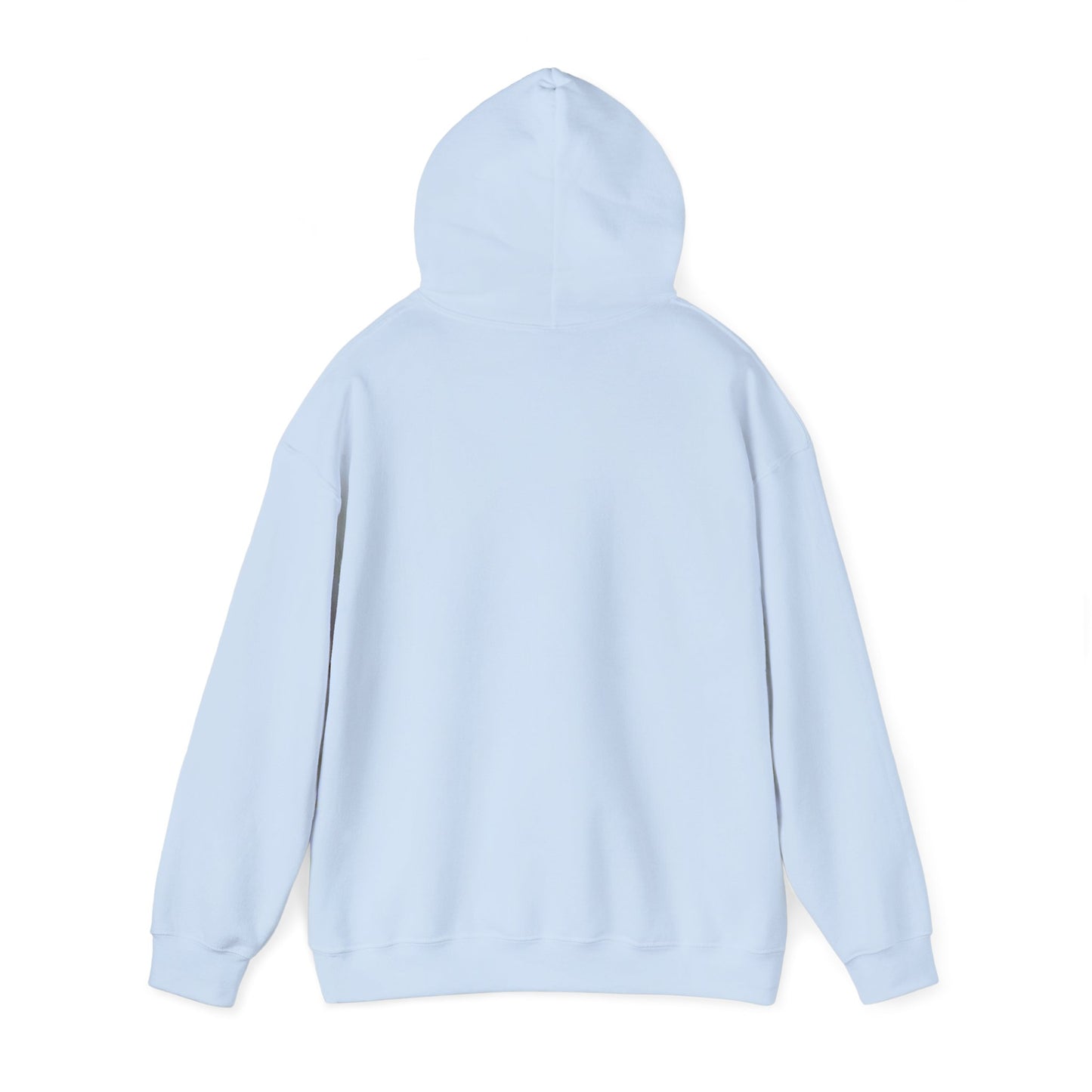 Rear view light blue Flag Football Coach hoodie, clean plain back, relaxed unisex fit