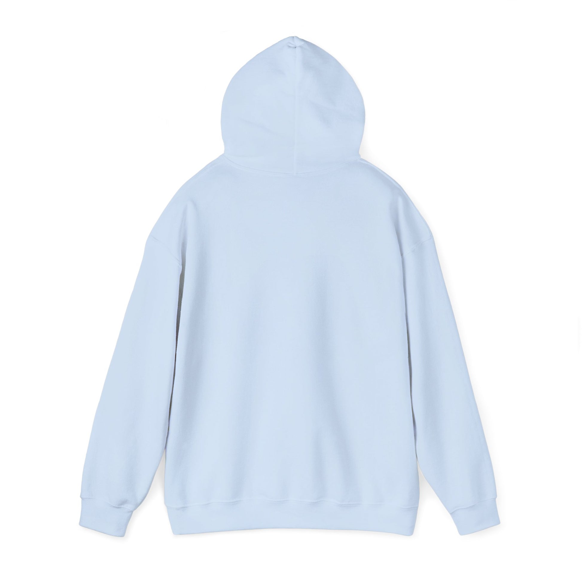 Rear view light blue Flag Football Coach hoodie, clean plain back, relaxed unisex fit