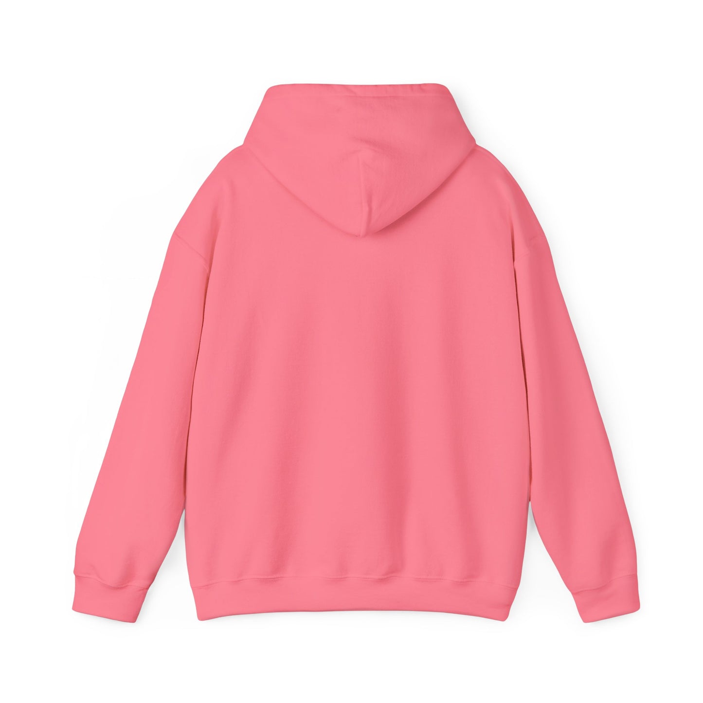 Back view of hot pink hoodie, hood down, classic fit with kangaroo pocket hidden