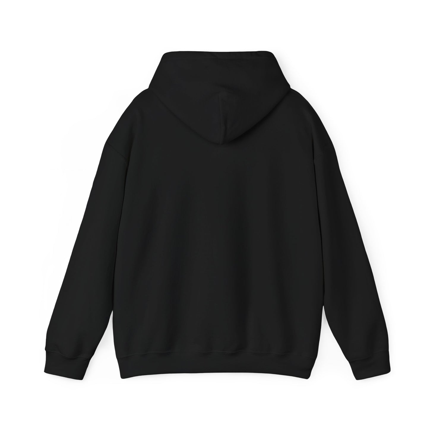 Back view of plain black pullover hoodie, hood down, clean and simple