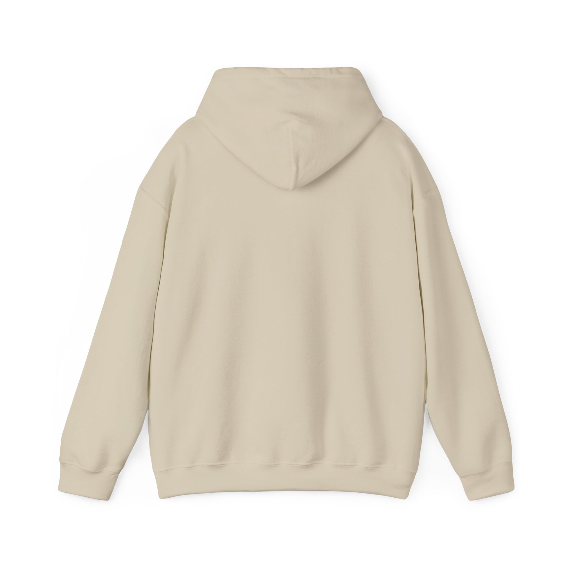 Back view of plain light beige hoodie, hood down, kangaroo pocket, long sleeves for coach comfort