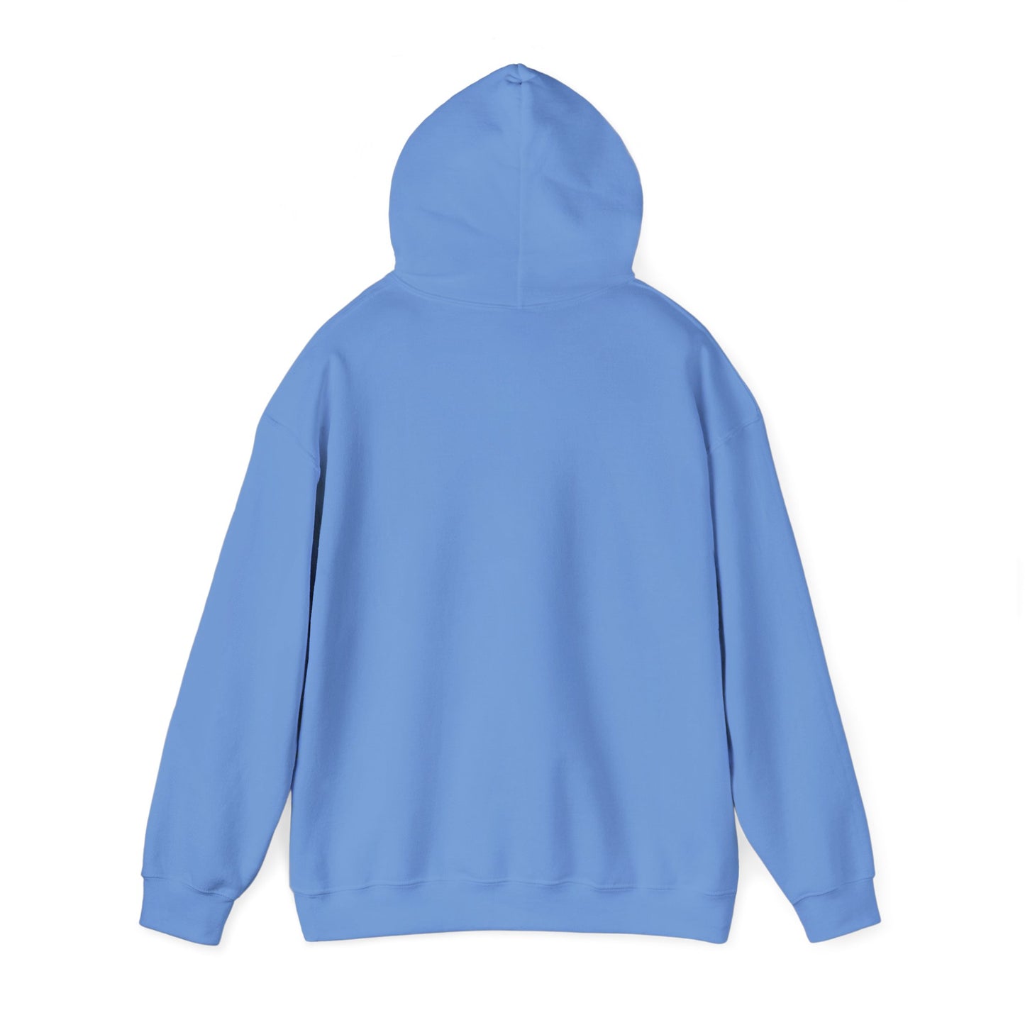Back view of plain light blue hoodie, classic fit with kangaroo pocket