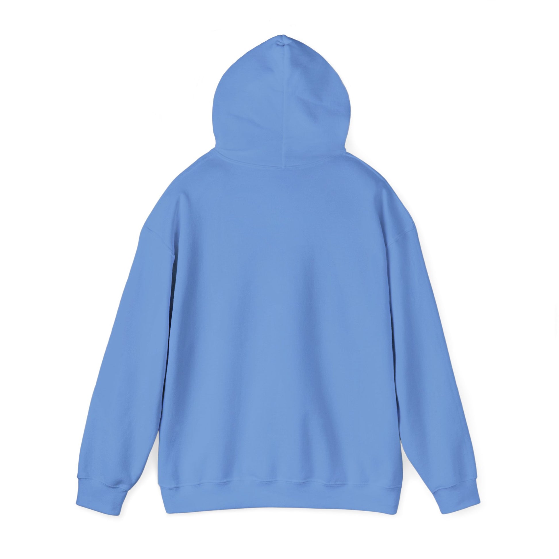 Back view of plain light blue hoodie, classic fit with kangaroo pocket
