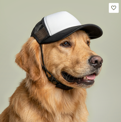 DOG HAT - NeurolythicAI Foam Trucker Hat — Dog-Friendly Mesh Cap