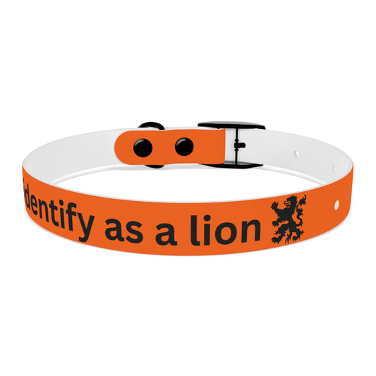 Dutch Dog Collar, I identify as a lion - Fun Pet Accessory, Dog Wear, Unique Gift for Dog Lovers, Pets Birthday Celebration, Lion Theme Collar