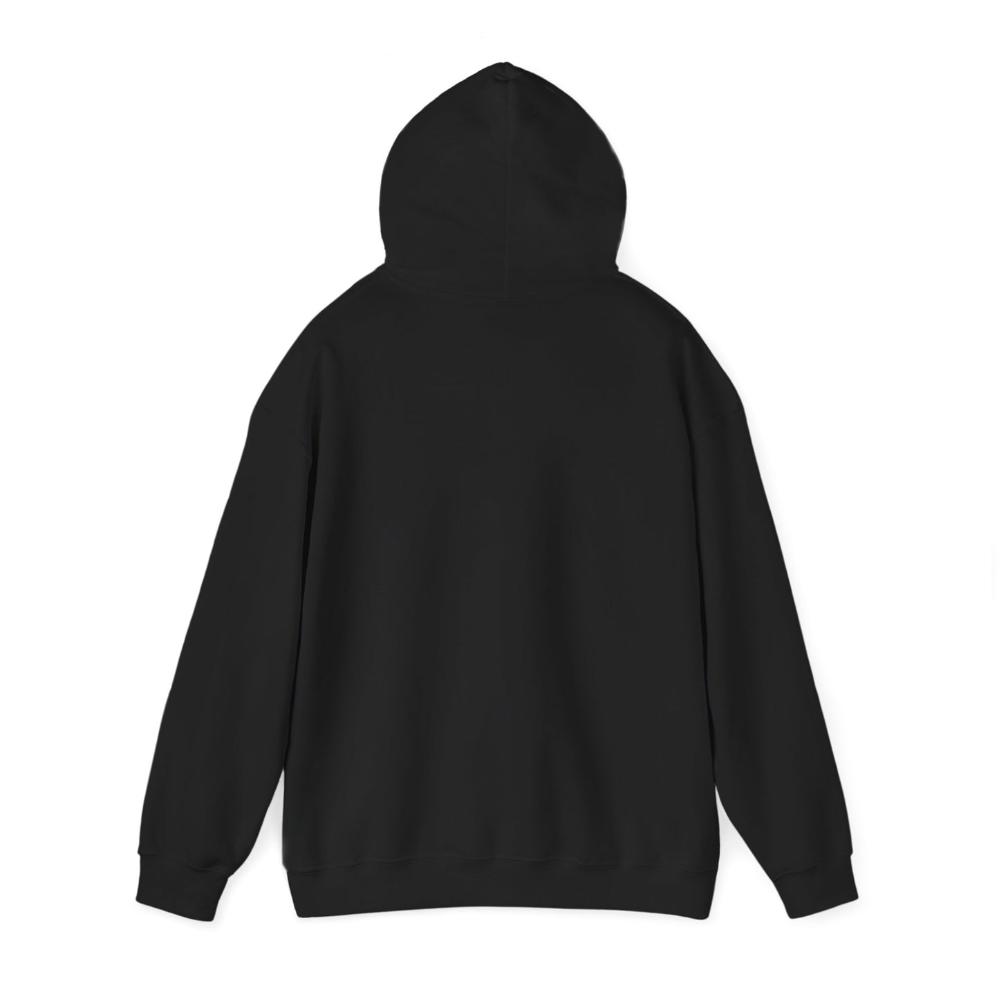 Back view of plain black hoodie — no drama, just cozy hood and sleeves