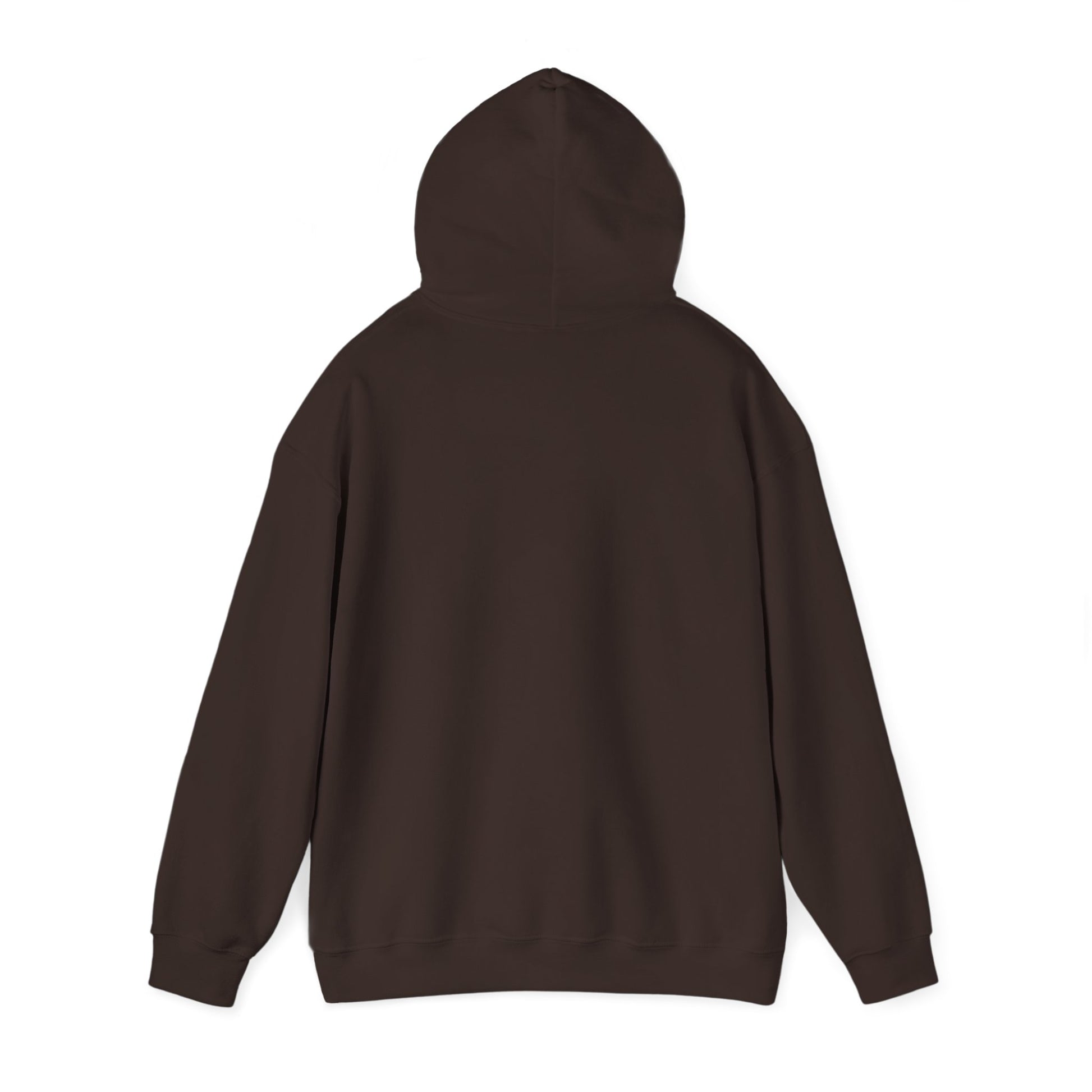 Rear hood view of dark chocolate Flag Football Coach hoodie, no print