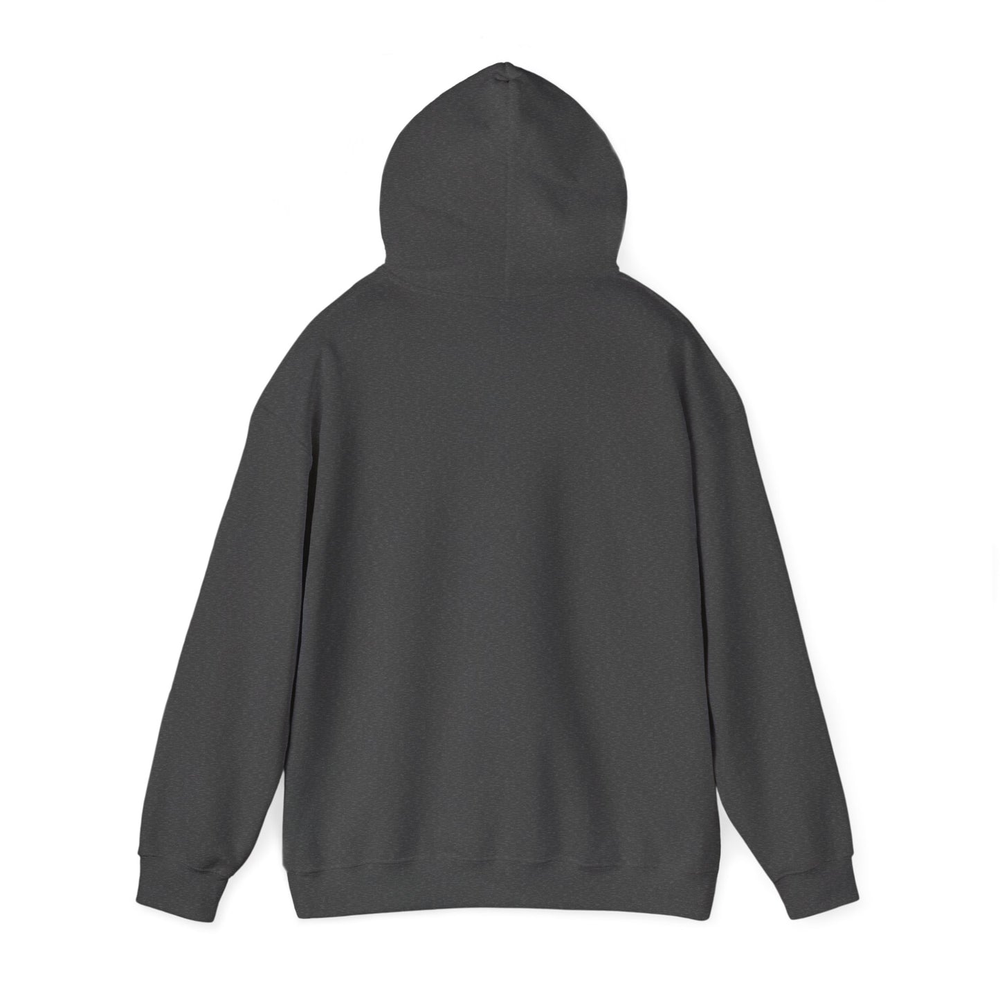 Rear view of dark heather gray hoodie, spacious hood and no side seams visible