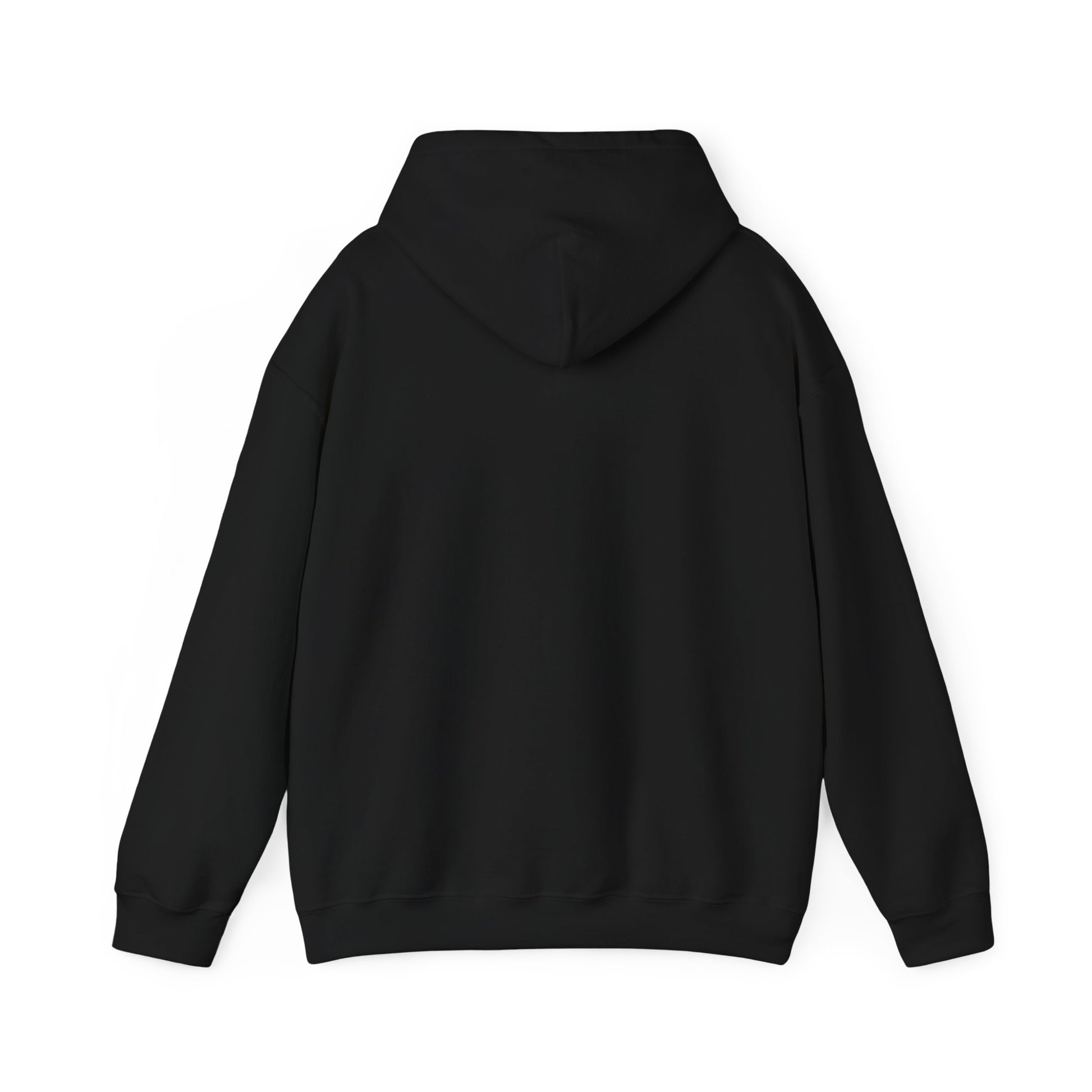 Back view of plain black hoodie, double-lined hood and kangaroo pocket, classic comfy fit