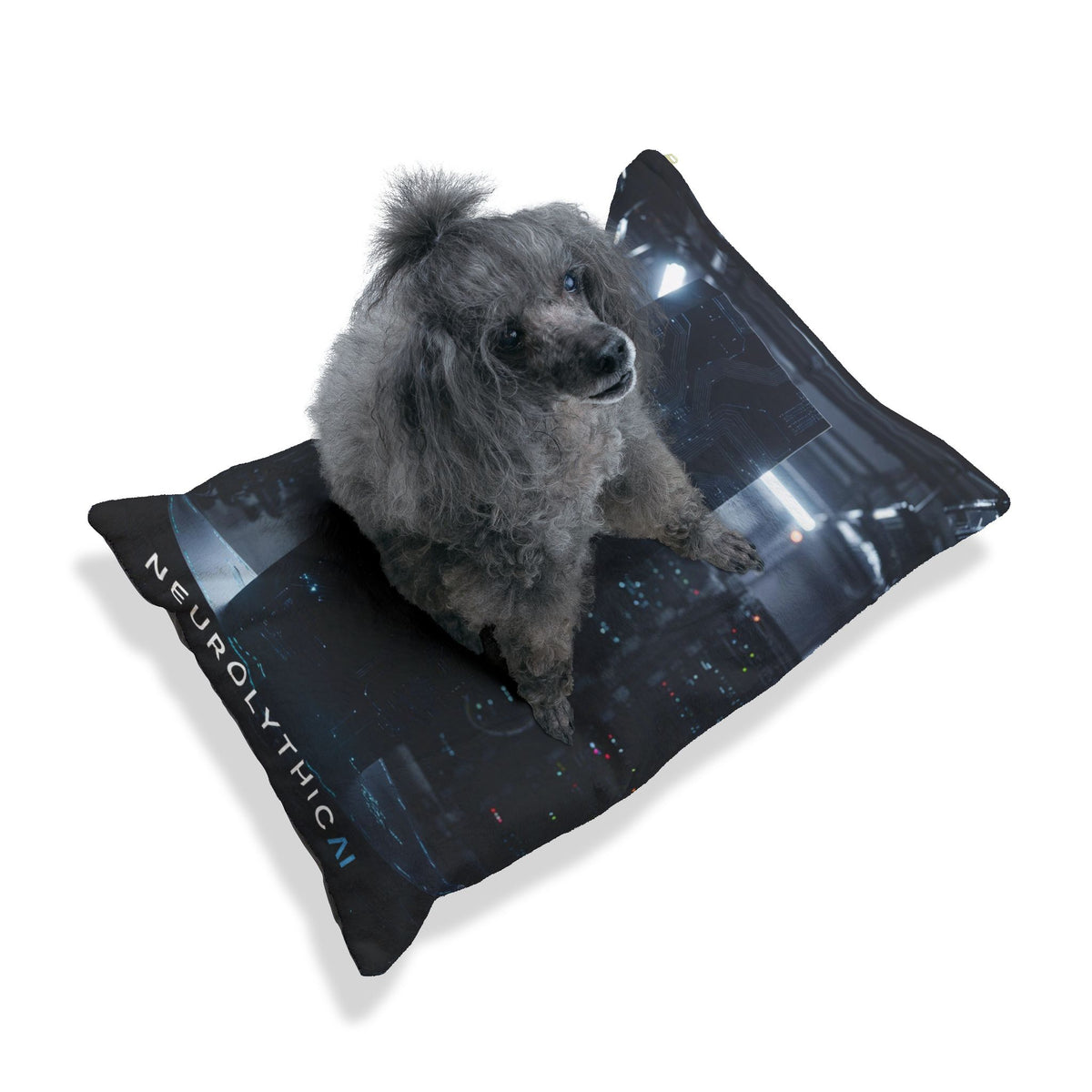 NeurolythicAI - Pet Bed