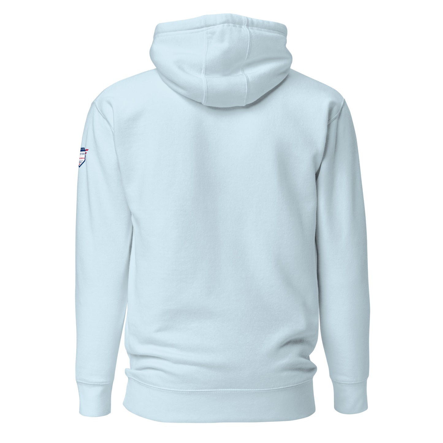 Back view of sky blue unisex hoodie, white USA flag patch on shoulder, minimalist vibe