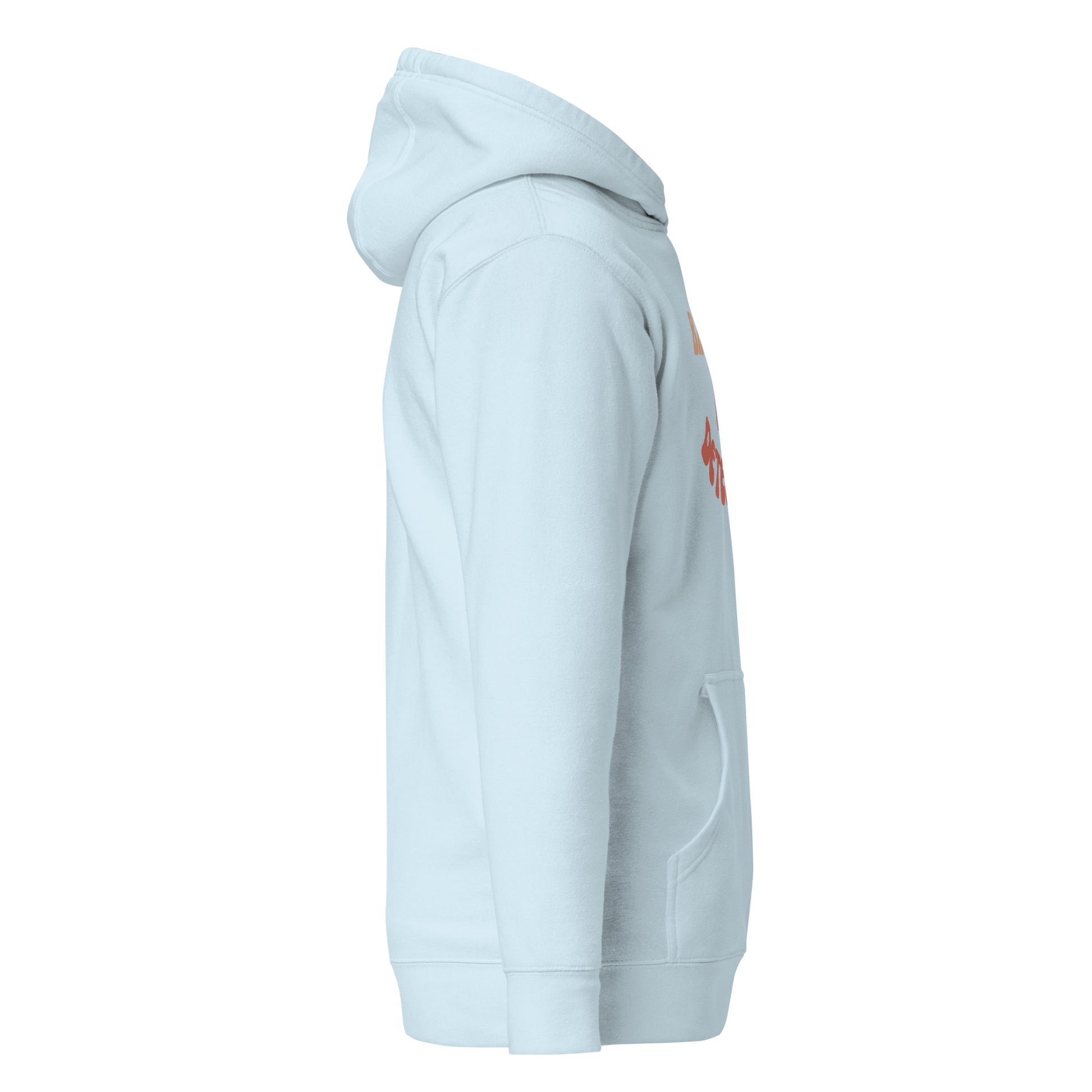 Left side view of sky blue hoodie showing "Detective" text edge and double-lined hood