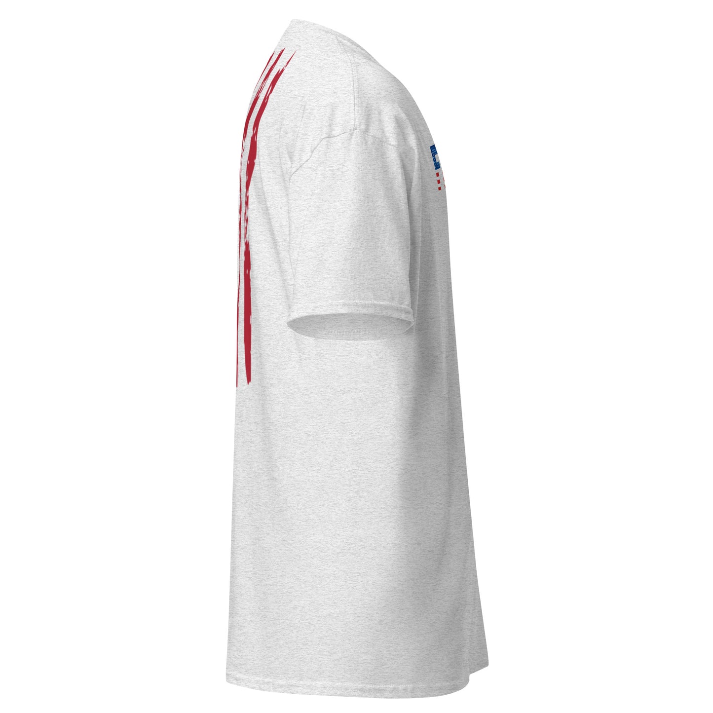 Left side view of light gray tee with back flag stripes, sleeve patriotic emblem, and subtle heather texture