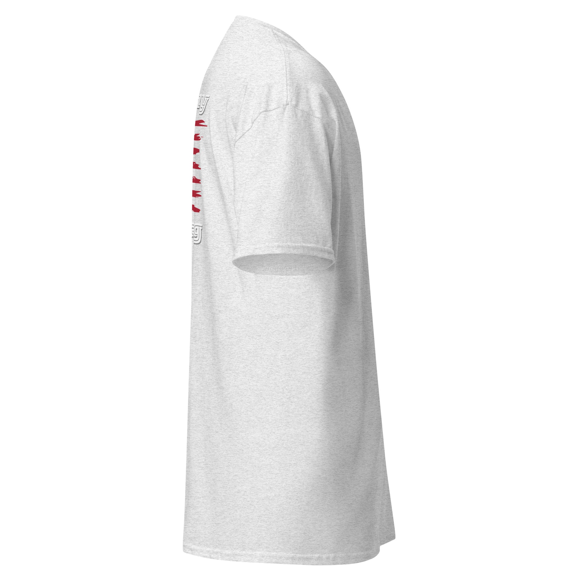 Left side view of heather gray t-shirt with partial back "Pride Flag" and flag visible